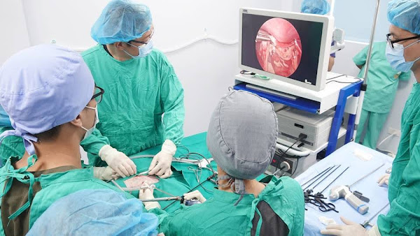 傳騏動物醫院微創手術訓練中心 推展微創絕育手術造福毛小孩