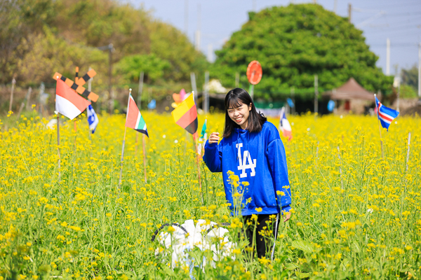 彰化社頭「雙鐵花田」花海搭配火車好好拍，入園送向日葵種籽