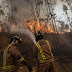 Incendio forestal es combatido en Sagrada Familia