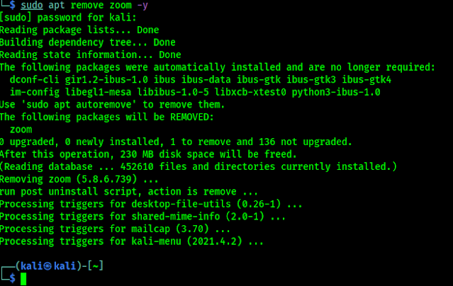 removing zoom from Linux system