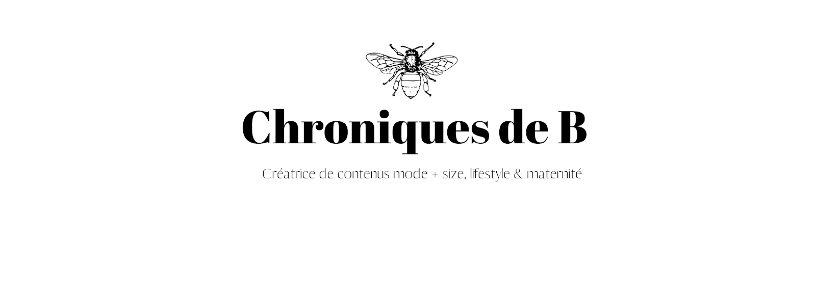 Chroniques de B.