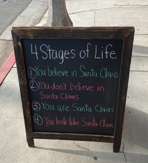 4 Stages of Life