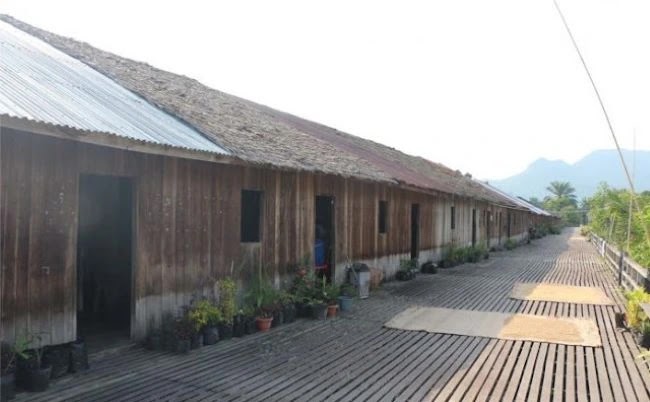 From 1875 to Today: The Story of the Dayak Longhouse in Saham, West Kalimantan