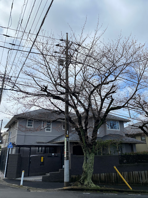 つくし野