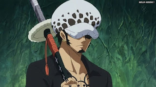 ワンピースアニメ ゾウ編 772話 トラファルガー・ロー かっこいい トラ男 Trafalgar Law | ONE PIECE Episode 772