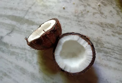 দুর্গাপূজা ২০২১ : নারকেল লাড্ডূর রেসিপি Durga pujo 2021: coconut laddus recipe