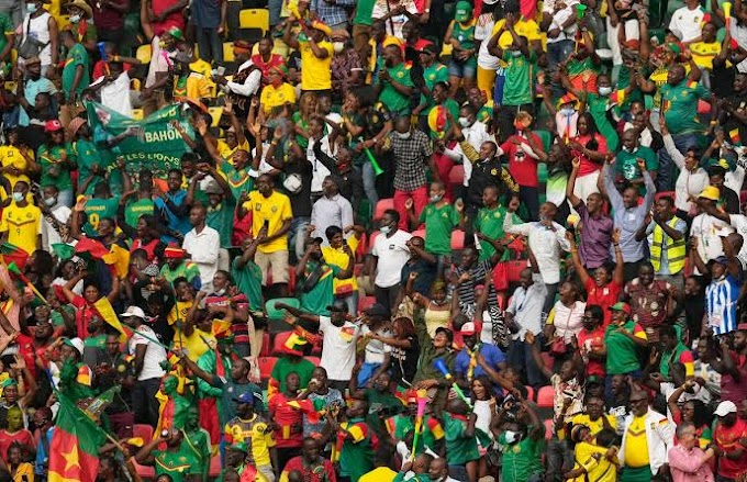  AFCON 2021: Six Killed, Many Injured In Stampede After Cameroon vs Comoros Match (Video)