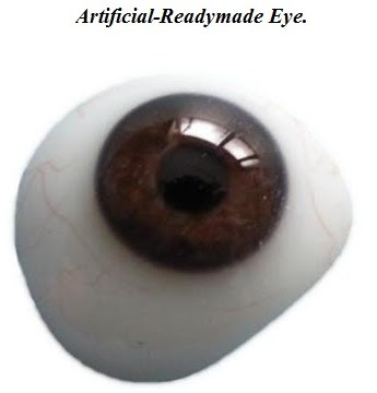 Artificial-Readymade Eye