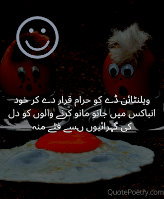 Very Funny Quotes/Poetry in Urdu Text With Images