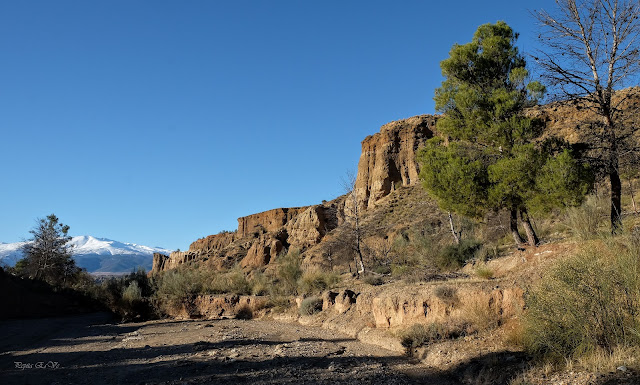 Guadix- Badlands- Rambla de Zaraguhit- Sierra Nevada- Farallones