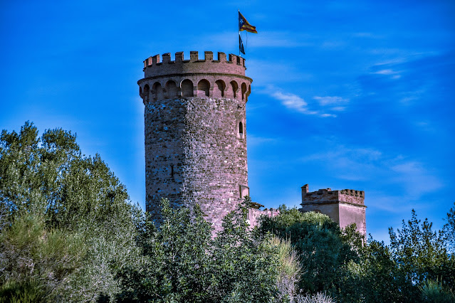 Castillo Torre Salvana