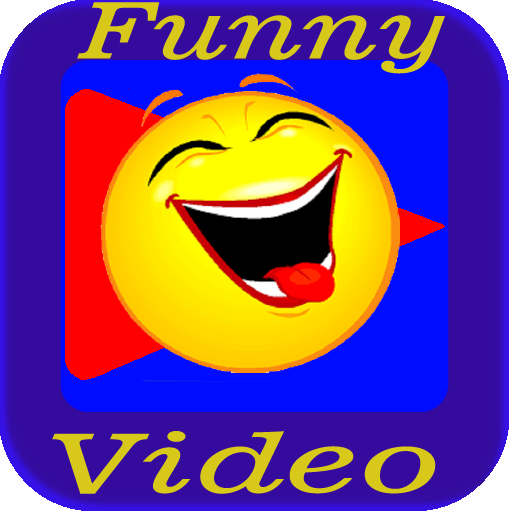 funny videos alert