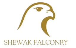 Shewak Falconry