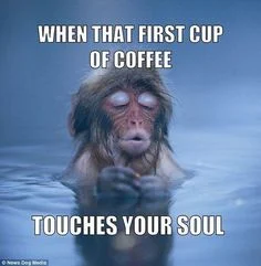 10 of the Best tuesday Coffee Memes, Best funny cofee Meme Ever