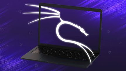 Top 5 Courses to Learn Kali Linux