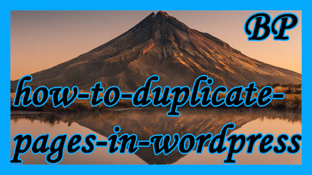 How to Duplicate  Page In WordPress Easy Method