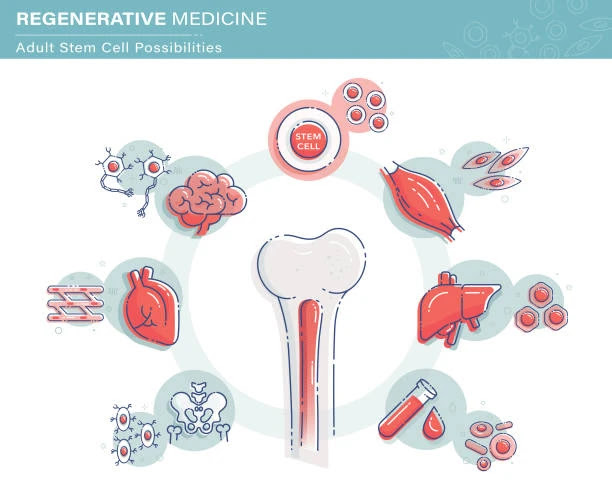 The Benefits You Can Gain From Regenerative Medicine