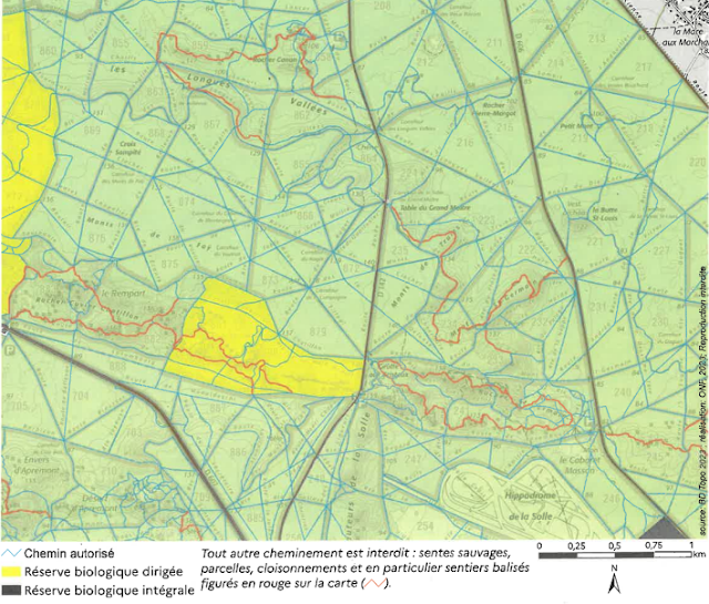 cartes publiées dans l'arrêté préfectoral réglementant la pratique du vélo dans la forêt de Fontainebleau