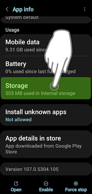 Storage Menu on the App Settings Picture