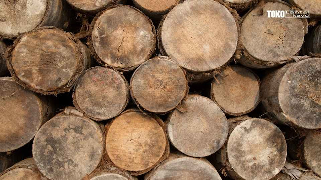 kelebihan kayu glugu kelapa