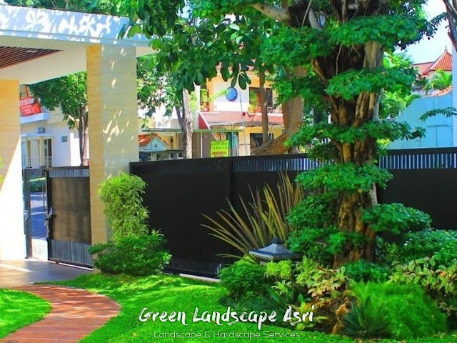 Tukang Taman Makassar - Jasa Pembuatan Taman di Makassar Profesional