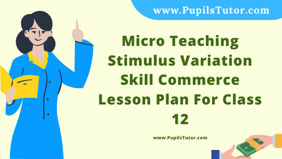 Free Download PDF Of Micro Teaching Stimulus Variation Skill Commerce Lesson Plan For Class 12 On Insurance And Premium Policies Topic For B.Ed 1st 2nd Year/Sem, DELED, BTC, M.Ed In English. - www.pupilstutor.com