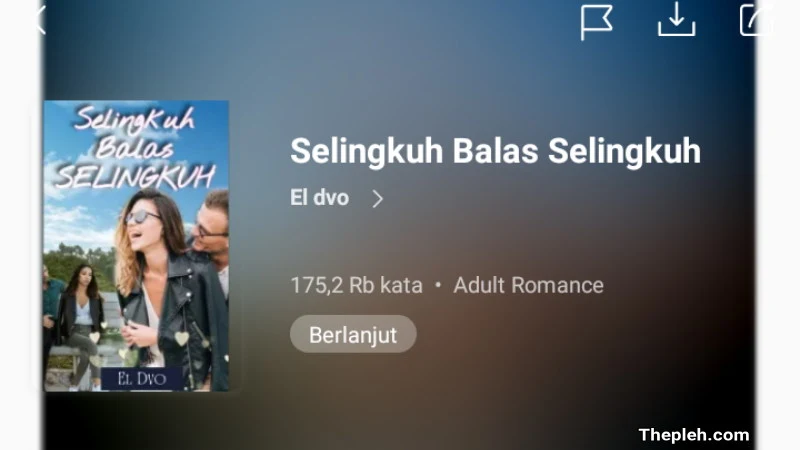 Novel Selingkuh Balas Selingkuh