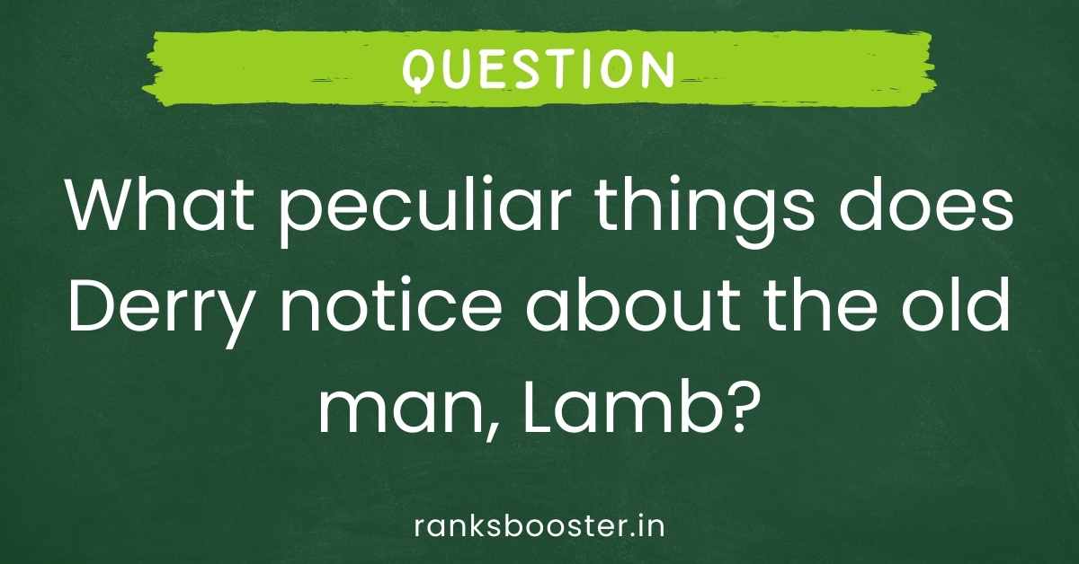 What peculiar things does Derry notice about the old man, Lamb?