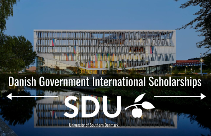 منحة الحكومة الدنماركية جامعة جنوب الدنمارك ممولة بالكامل