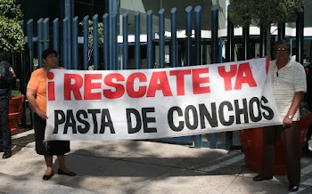 Para obras de rescate en Pasta de Conchos, CFE contrató a supervisora del tramo de la Línea 12 que colapsó