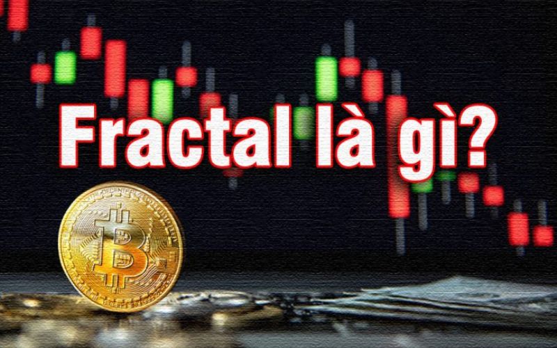 Chỉ số Fractal là gì?