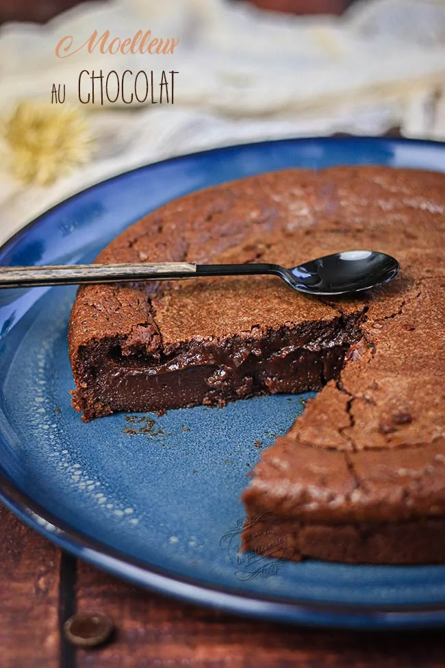 gateau moelleux au chocolat