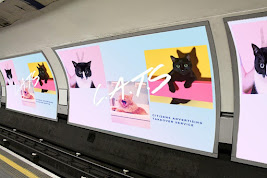 Cats Take Over The Subway