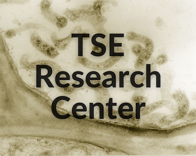 TSE Research Center