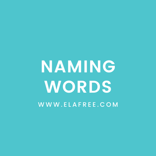 Naming Words Quiz