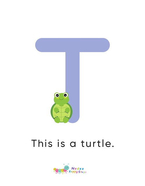 Letter T story for Kids - The Turtle