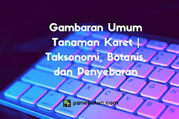 Gambaran Umum Tanaman Karet | Taksonomi, Botanis, dan Penyebaran