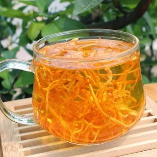 How do you make cordyceps tea?