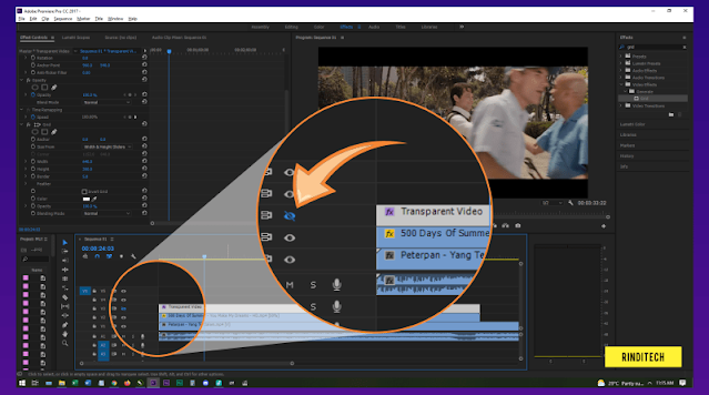 Cara Menampilkan Garis Grid di Premiere Pro Seperti di Kamera