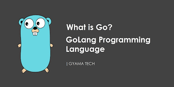 GoLang Programming Language