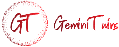 Gemini Twins-جيميني توينز