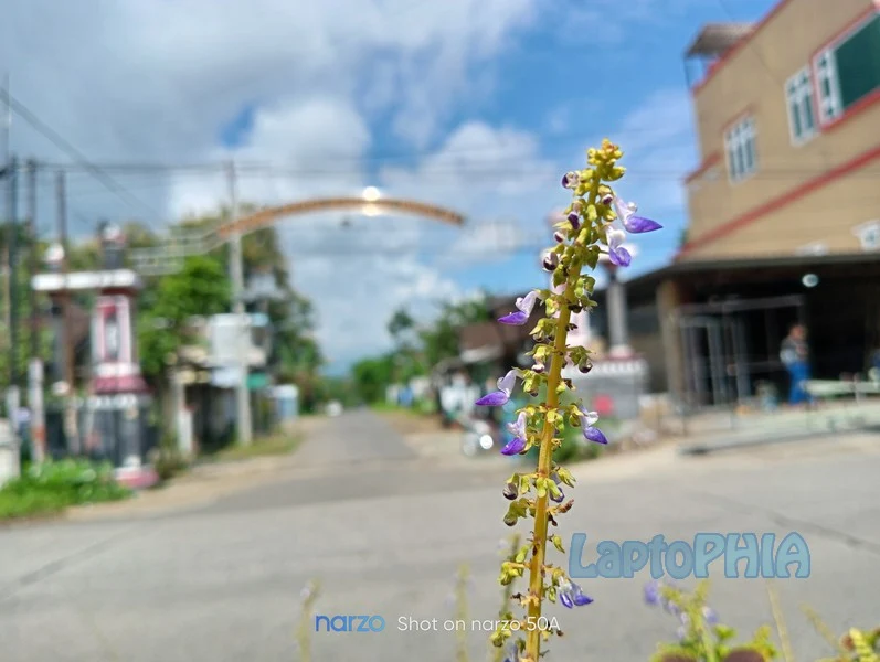 Hasil Foto Kamera Realme Narzo 50A