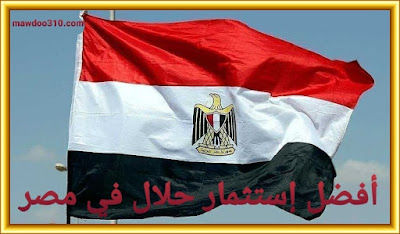 أفضل استثمار حلال في مصر