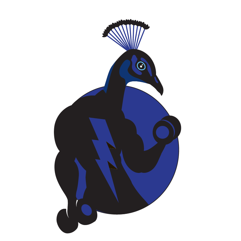 Peacock_Muscles