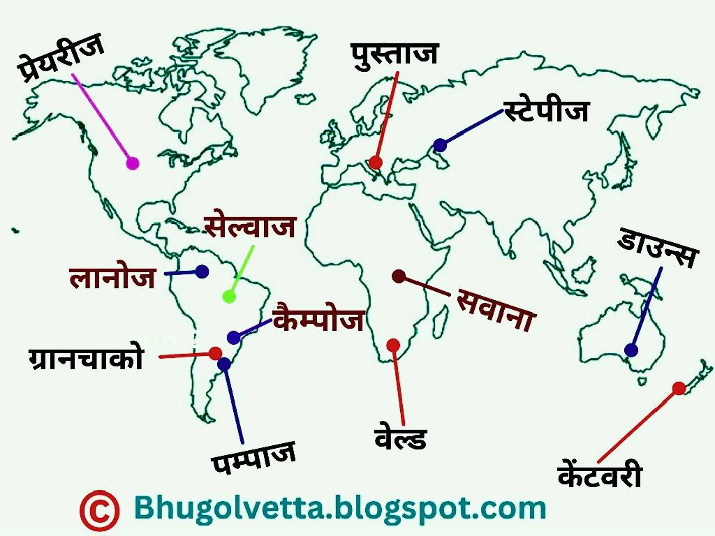 चित्र