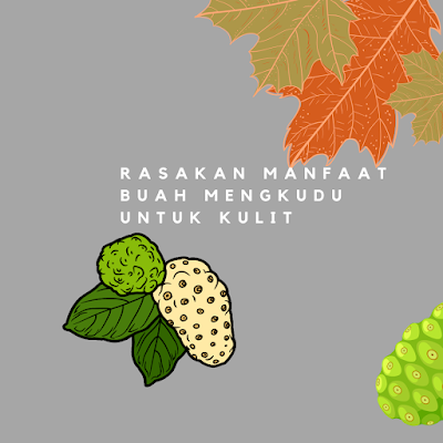 manfaat-buah-mengkudu-untuk-kulit