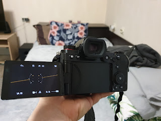 my Lumix S5 mirrorless camera