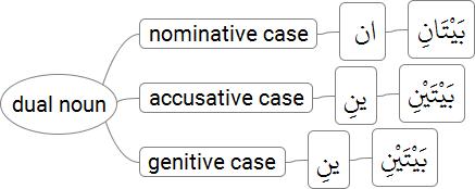dual noun rules in arabic