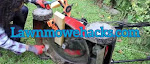 Lawn Mower Hacks 