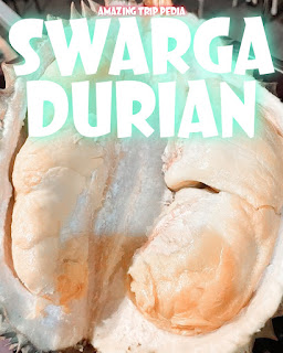 Menikmati Keindahan Swarga Durian Kediri Jawa Timur